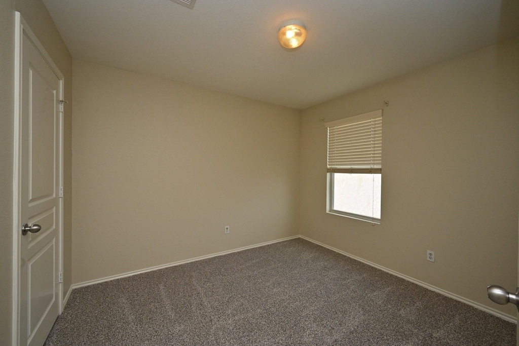 16806 Mammoth Springs Drive - Photo 14