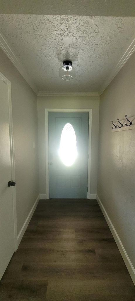 1807 Sleepy Creek Way - Photo 1