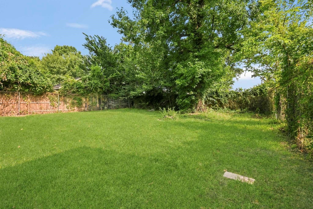 8186 Record Street - Photo 4