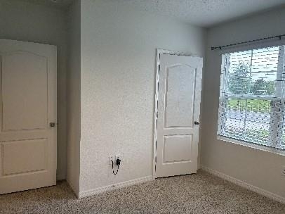 526 Anne Street - Photo 15