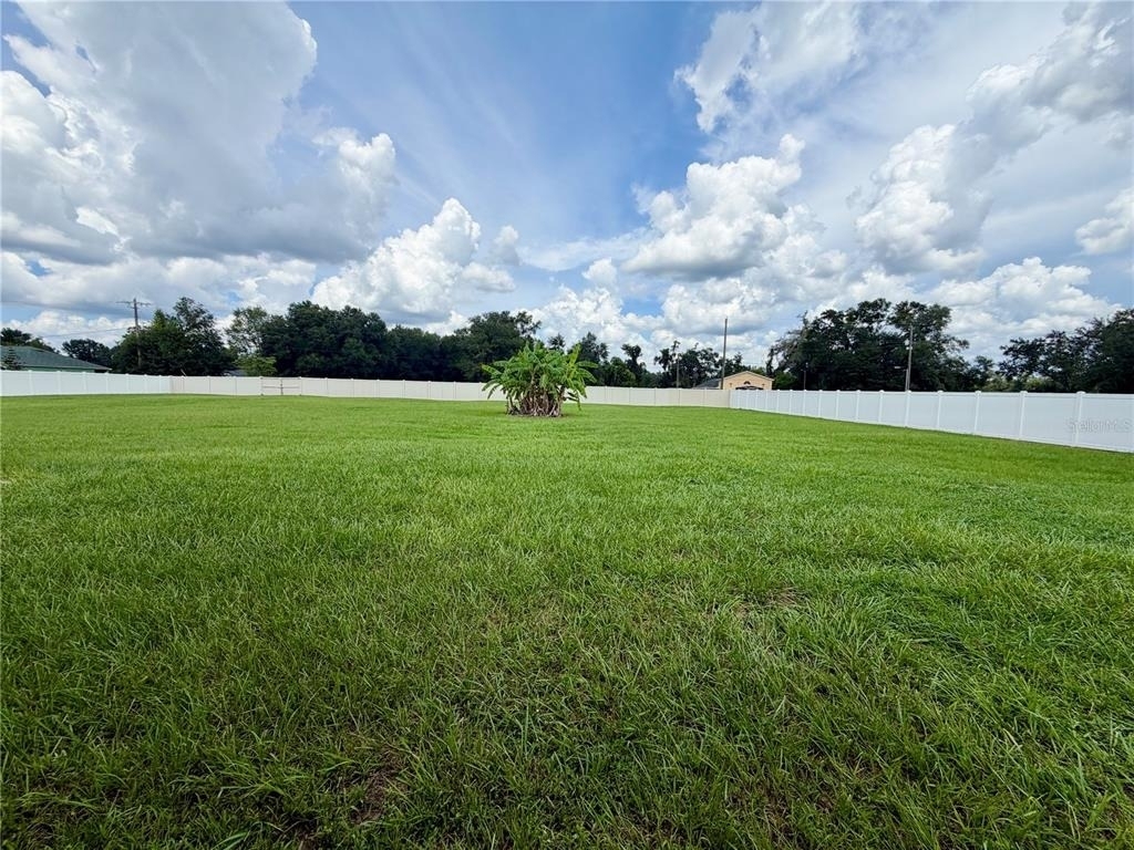 10146 Bloomfield Hills Drive - Photo 13