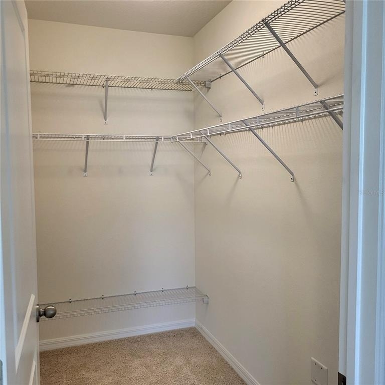 10836 Trailing Vine Drive - Photo 14