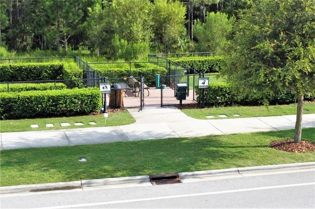 4596 Almada Lane - Photo 35