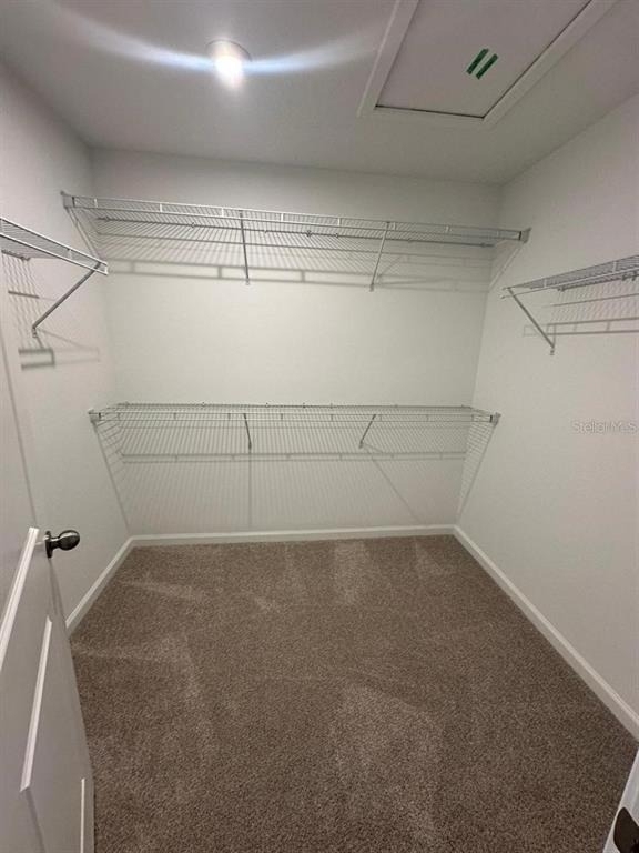 12431 Shipwatch Street - Photo 6
