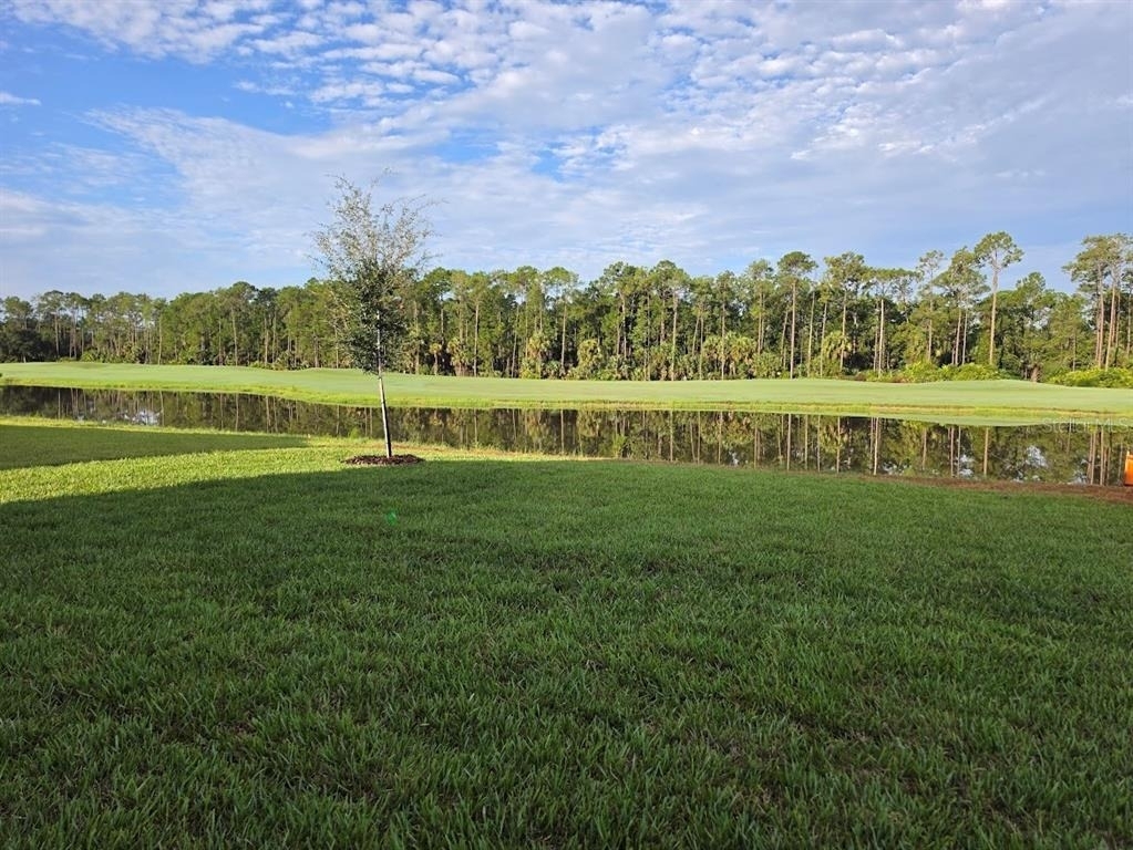 1025 Champion Ridge Drive - Photo 3