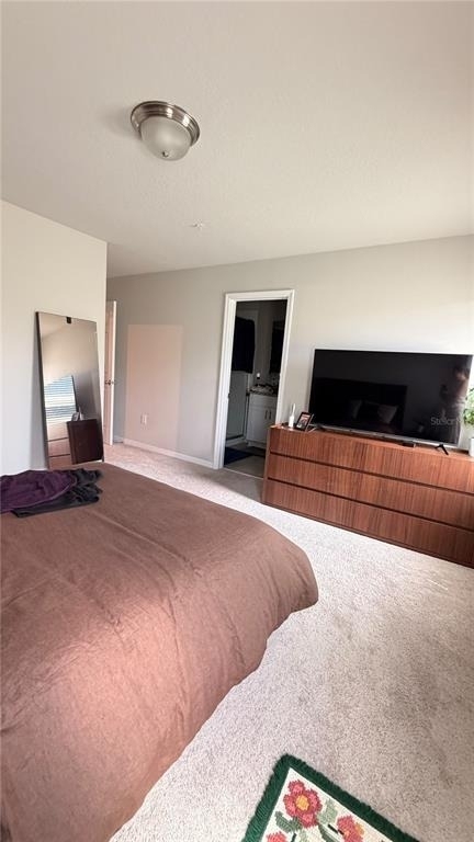 1434 Sage Bush Street - Photo 9