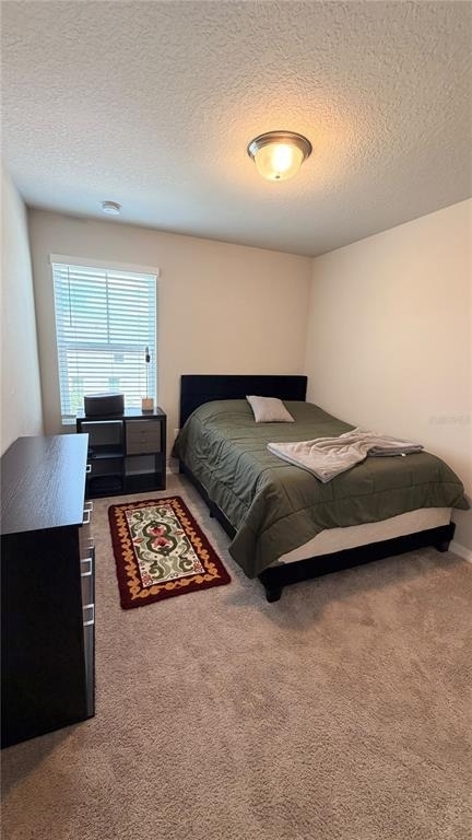 1434 Sage Bush Street - Photo 17