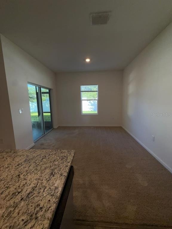 1014 Wanderer Drive - Photo 35
