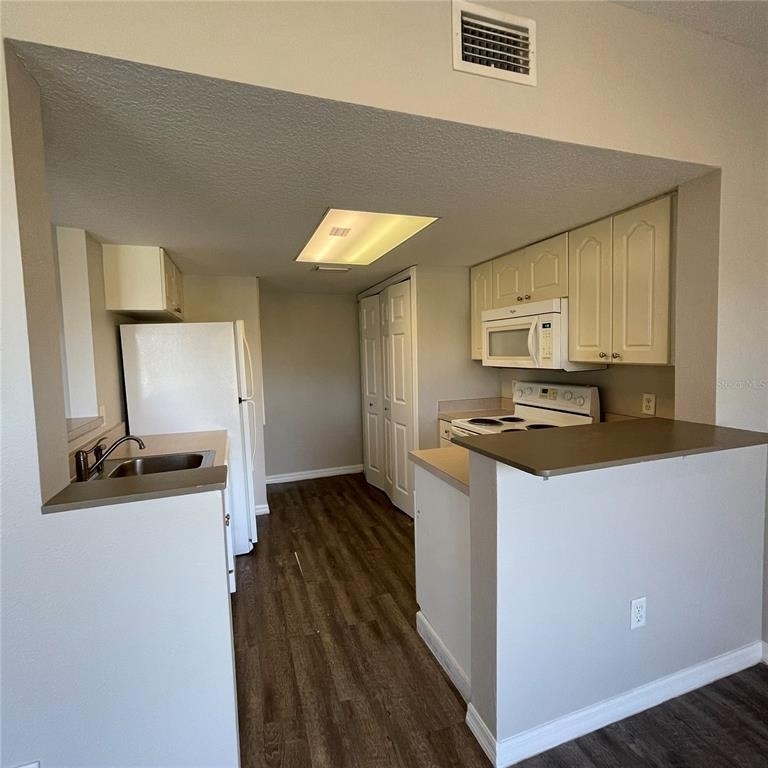 621 Washington Palm Loop - Photo 2