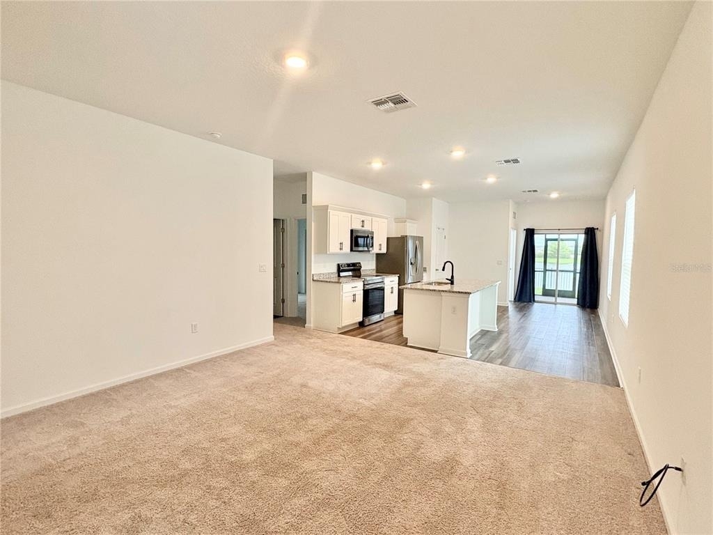 10451 Ladybug Cove - Photo 5