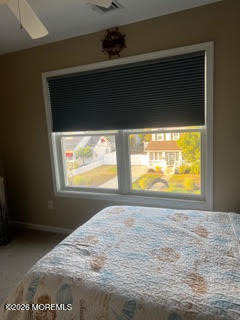 207 Ceylon Avenue - Photo 12