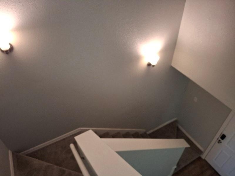 4504 Alamosa Street - Photo 4