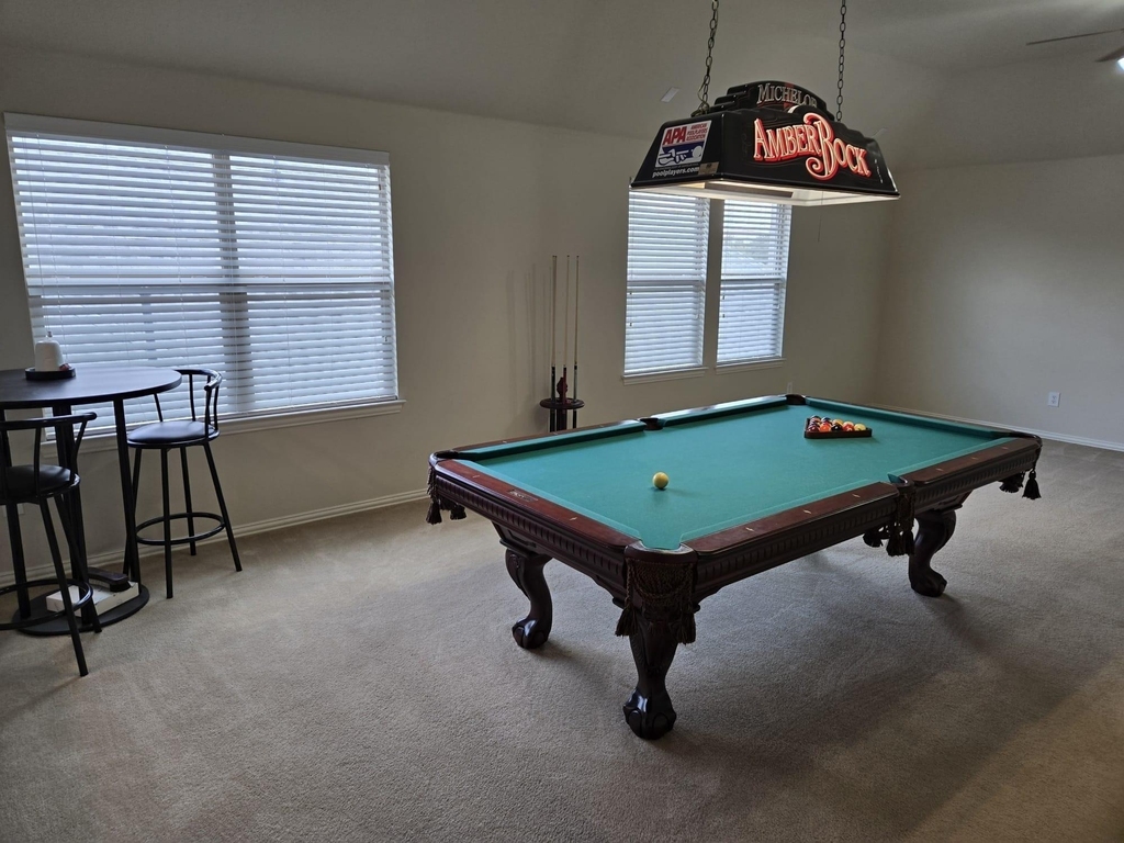 213 Willet Court - Photo 11