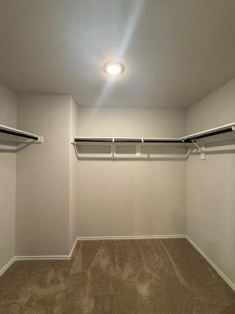 2889 Autumnwood Way - Photo 12