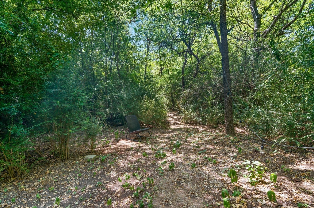 2220 Burning Tree Lane - Photo 19