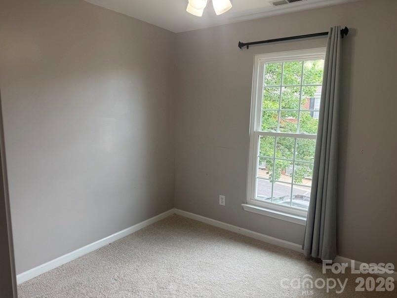 4005 Christine Lane - Photo 8