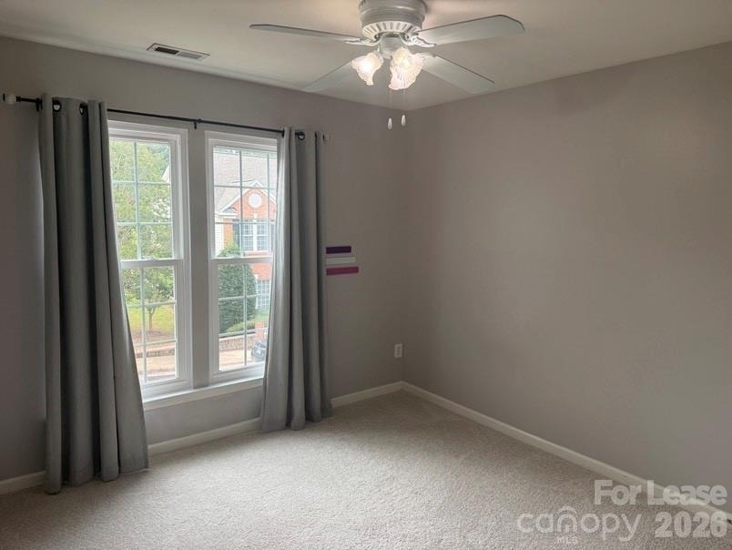 4005 Christine Lane - Photo 9
