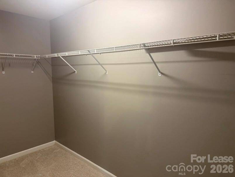 4005 Christine Lane - Photo 7