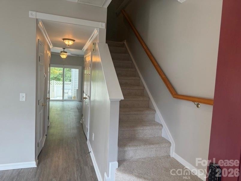 4005 Christine Lane - Photo 5
