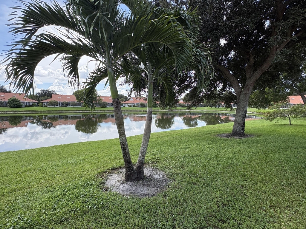 7702 Majestic Palm Drive - Photo 13