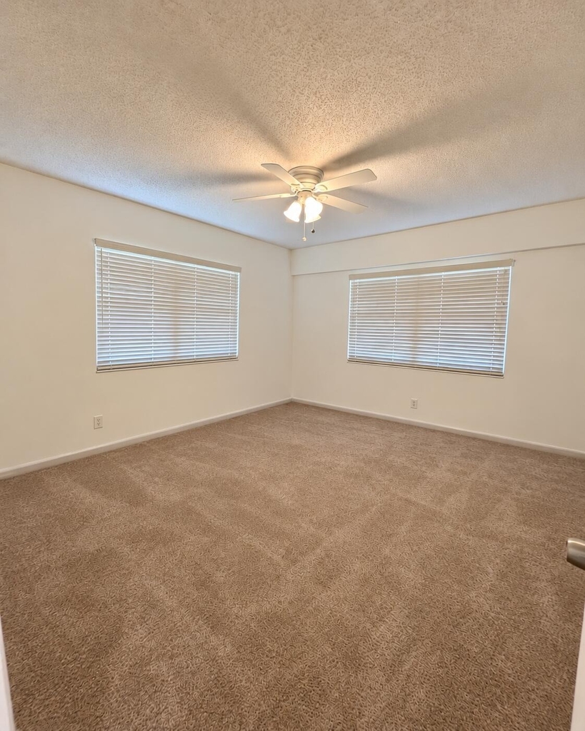 164 Mansfield D - Photo 5