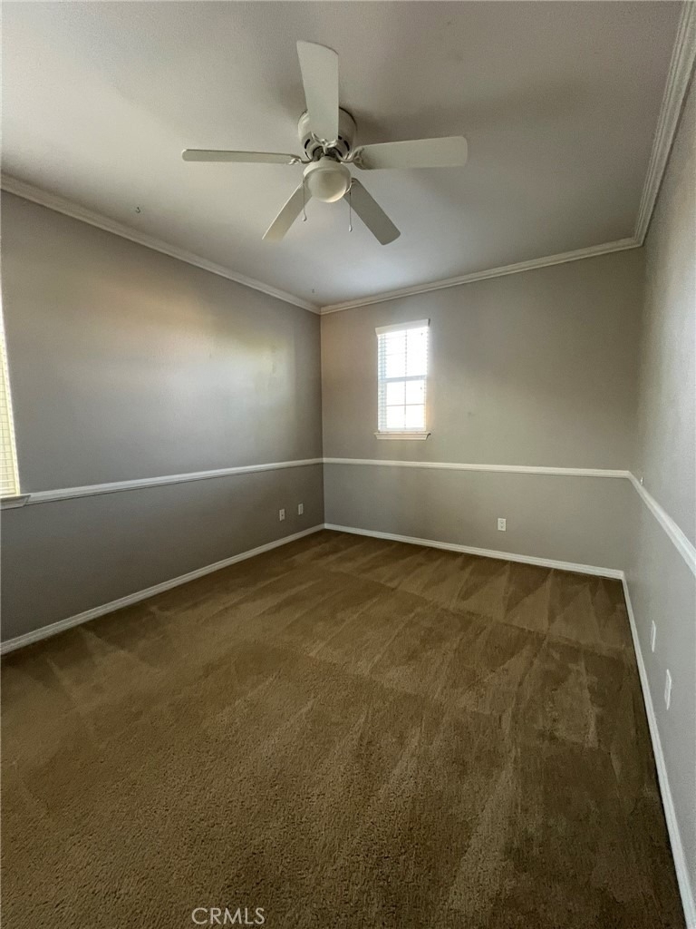45941 Camino Rubi - Photo 19