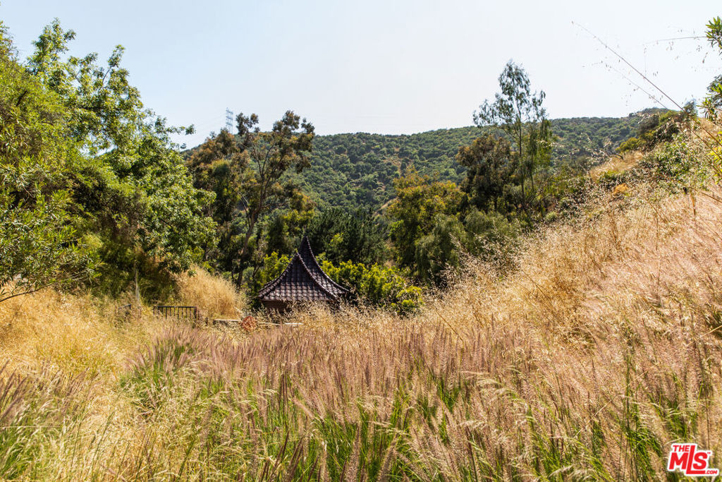 3626 Mandeville Canyon Road - Photo 42