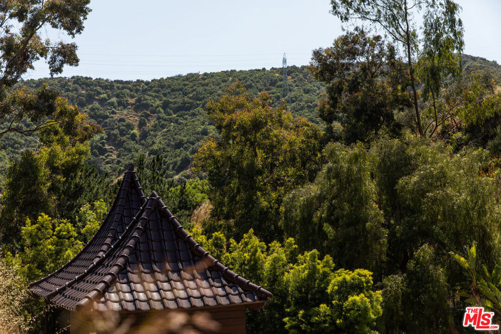 3626 Mandeville Canyon Road - Photo 44