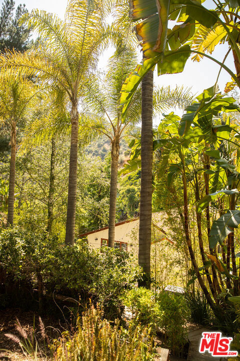 3626 Mandeville Canyon Road - Photo 56