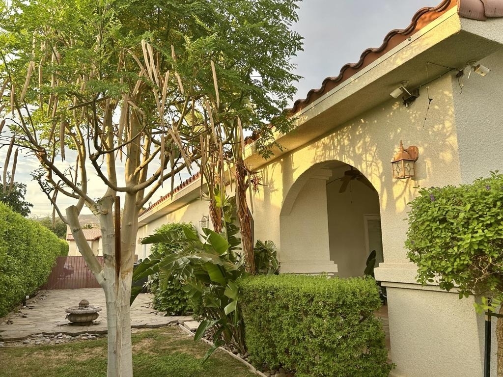 68177 Calle Cerrito - Photo 23