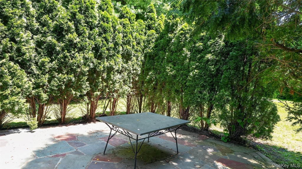 1058 Plandome Road - Photo 16