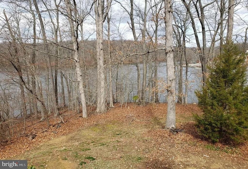 11513 Hill Meade Lane - Photo 3