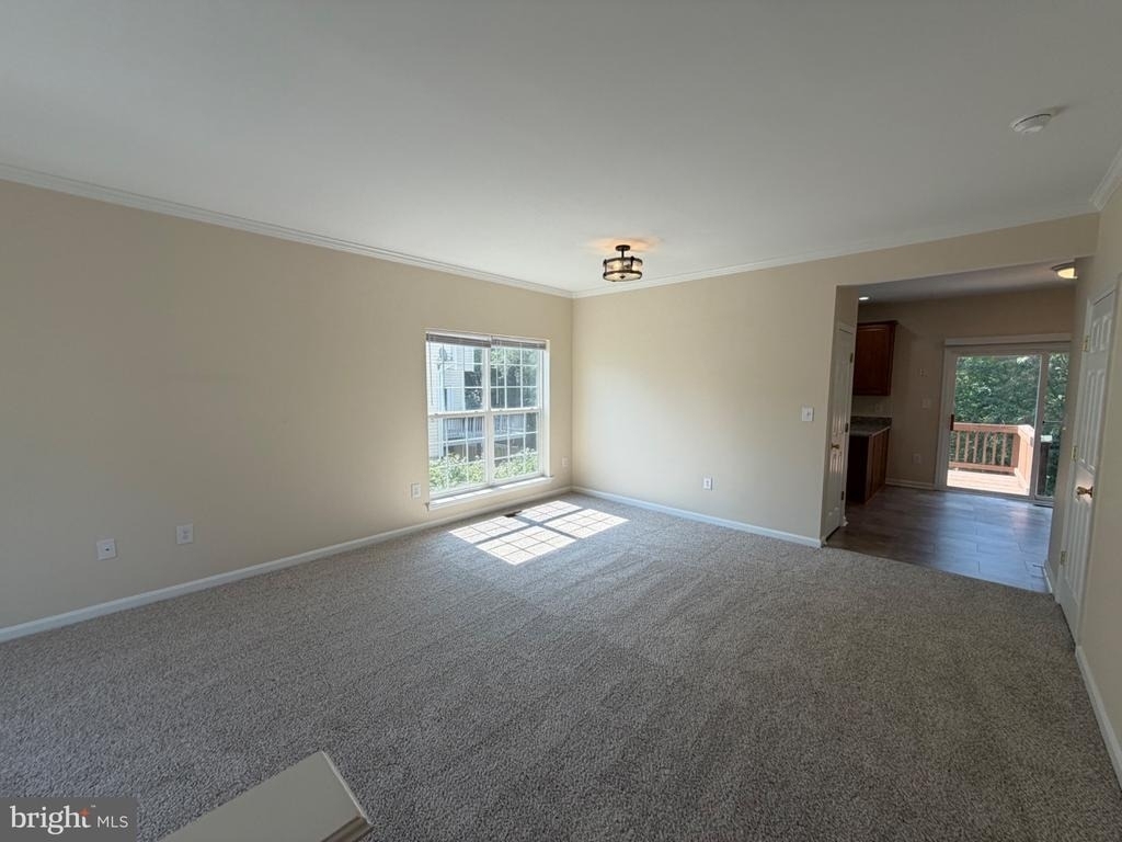 359 Snyder Lane - Photo 10