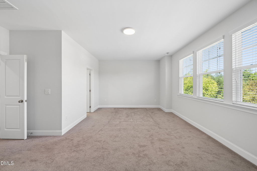 1306 Farm Pond Trail - Photo 27