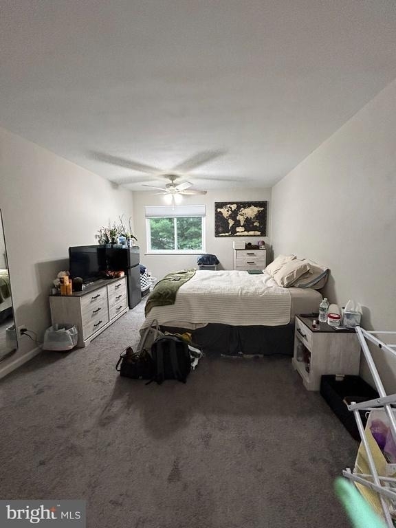 7 Peppercorn Drive - Photo 24