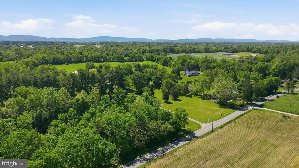8805 Reichard Road - Photo 48