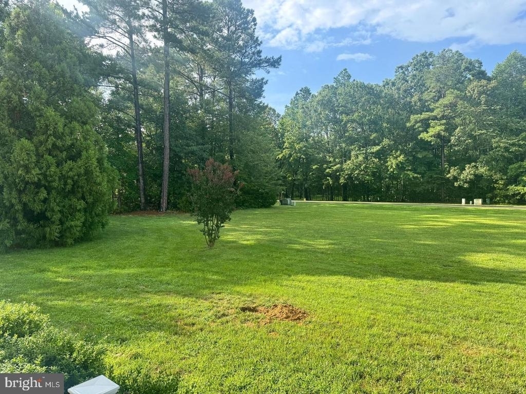 23063 Pembrook Drive - Photo 42