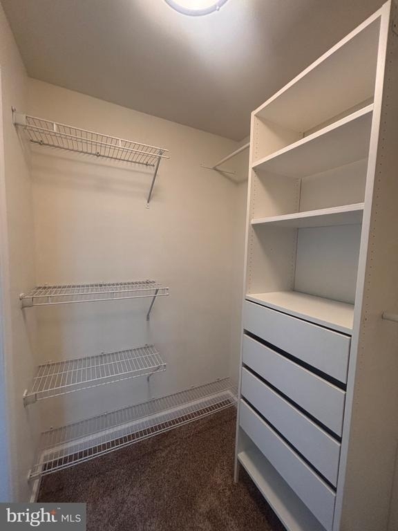 14201 Wolf Creek Place - Photo 17