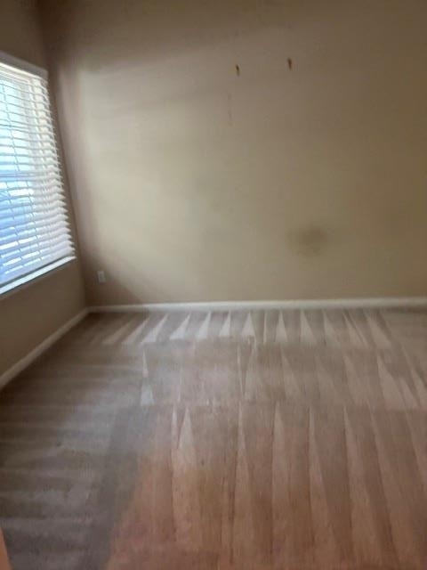 1810 Hidden Springs Path - Photo 15
