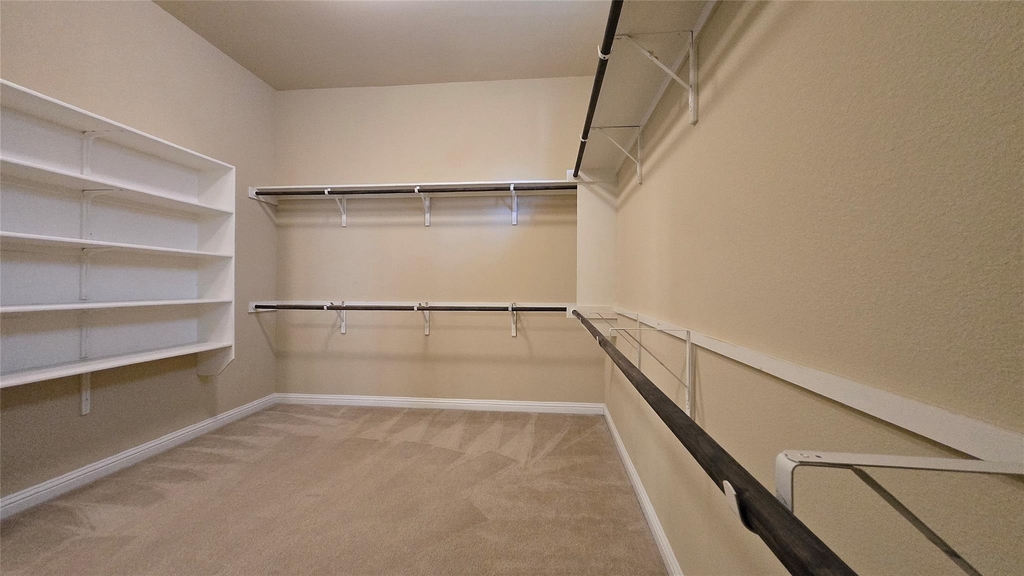 11804 Quintana Cv - Photo 15