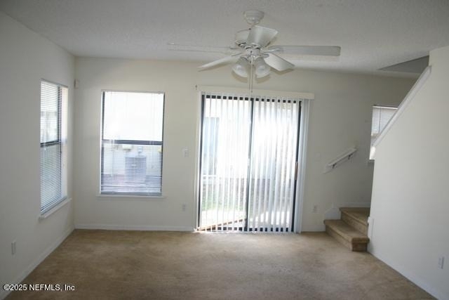 4603 Crib Court - Photo 5