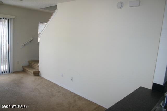 4603 Crib Court - Photo 4
