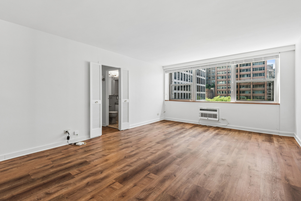 253 E Delaware Place - Photo 3