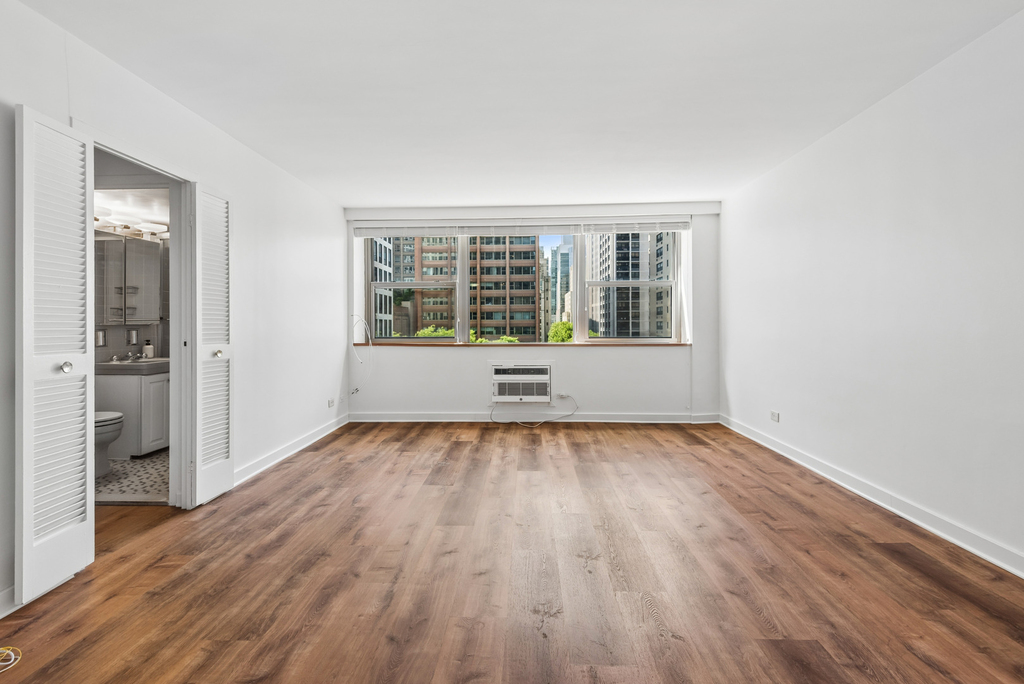 253 E Delaware Place - Photo 2