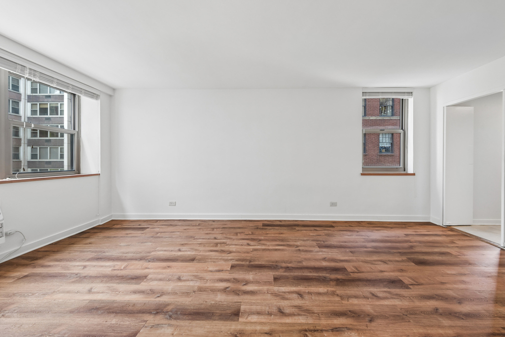 253 E Delaware Place - Photo 7