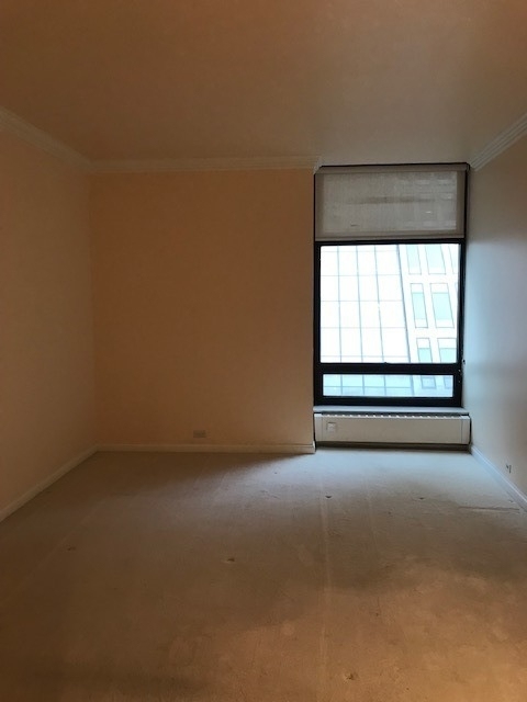 680 N Lake Shore Drive - Photo 10