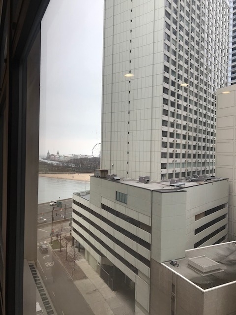 680 N Lake Shore Drive - Photo 16