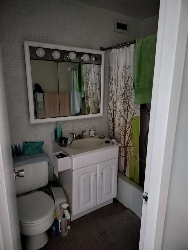 1700 E 56th Street - Photo 8
