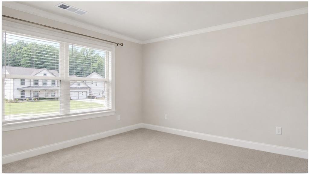 53 Mallard Creek Way - Photo 17
