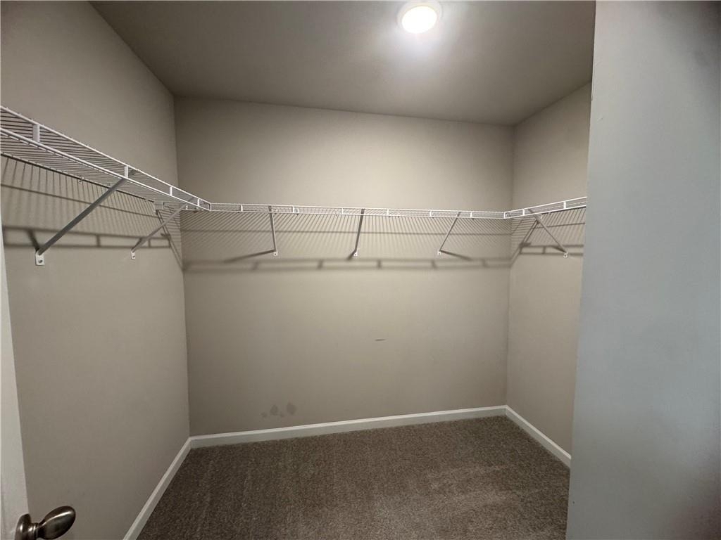 4302 Morrison Lake Trail - Photo 18